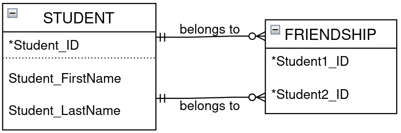 2 one-to-many relationships, with an intersection entity (Friendship)